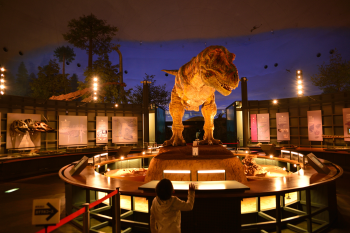Музей динозавров префектуры Фукуи Fukui Dinosaur Museum