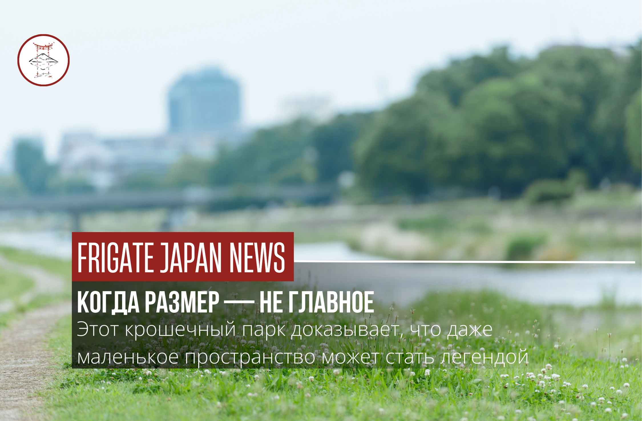 Уголок природы размером с плитку тротуара