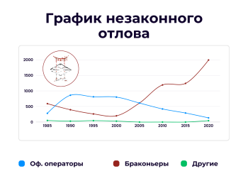 Япония борется с безудержным браконьерством на море
