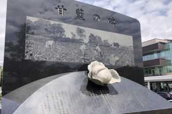 Кетчуп и капуста: в поисках самых необычных памятников Японии