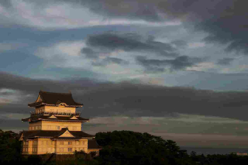 Экскурсия «замок Одавара и район Фудзи-Хаконэ»