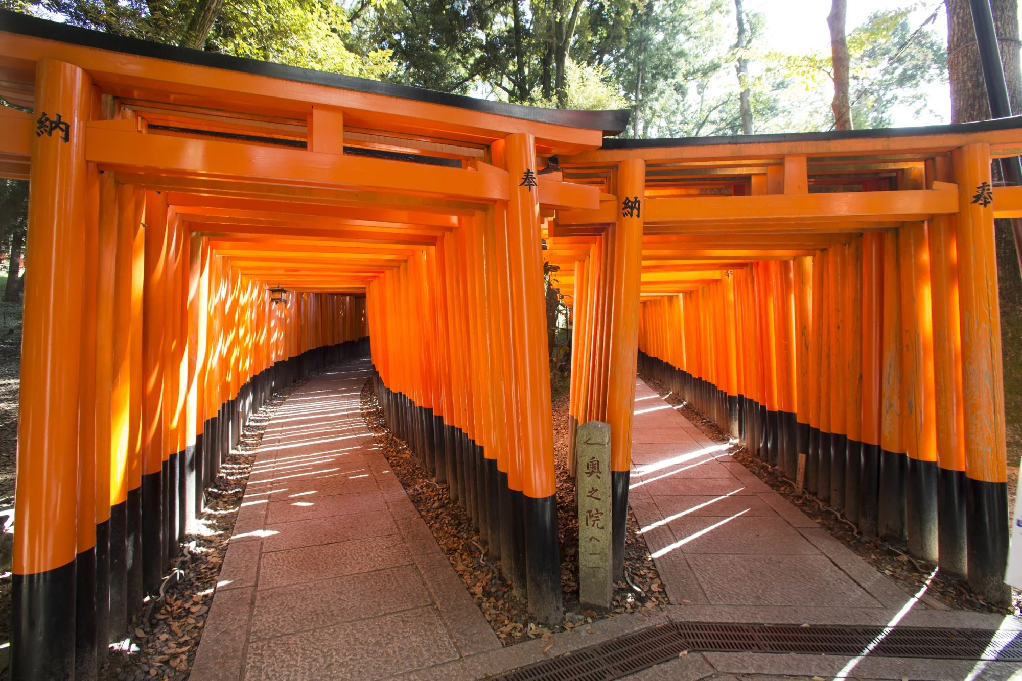 Храм Фусими Инари Fushimi Inari Shrine