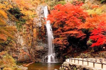 Экскурсия «Природный парк Мино и термальный курорт Арима» (из Осака)