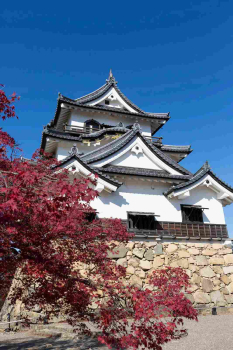 Экскурсия «Замок Хиконэ, чайная церемония  и древняя столица Оцу/Бива» (из Киото)