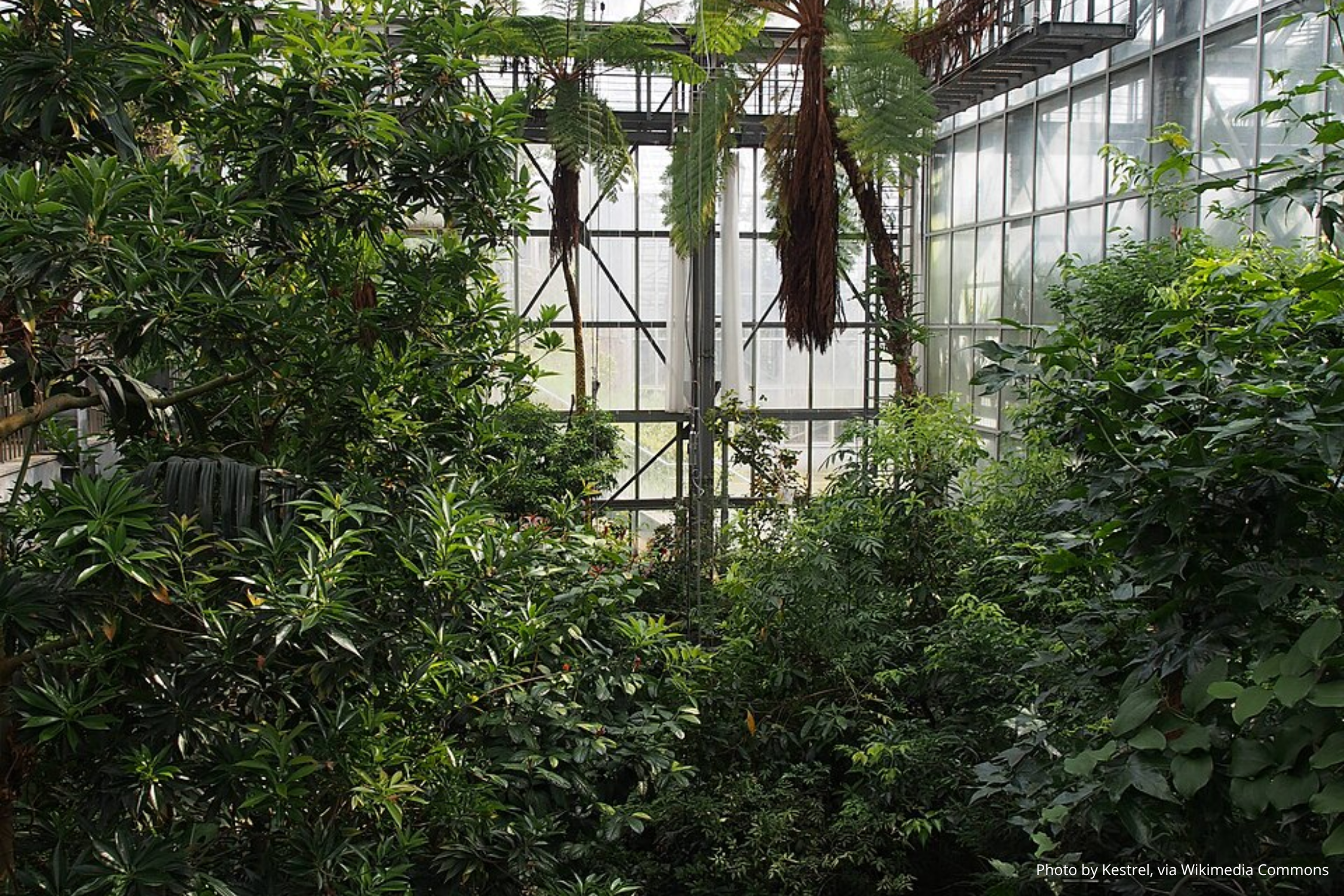 Сад Симанэ Хана-но-сато