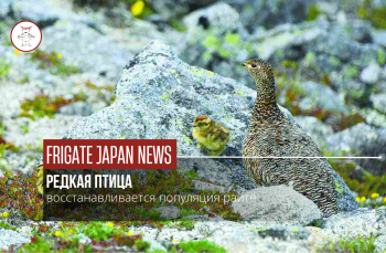 В Нагано начался пик появления птенцов райте