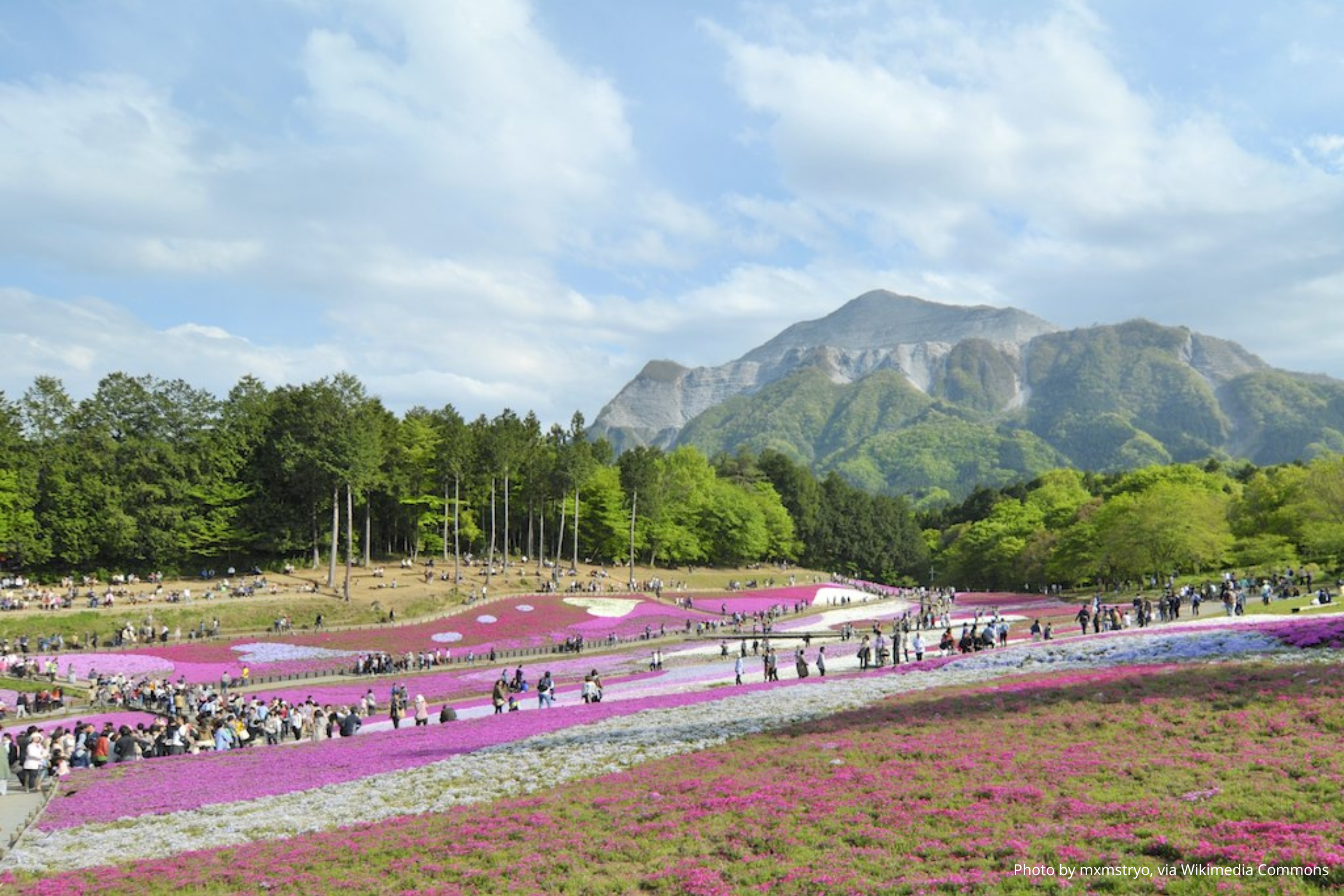 Парк Хицузияма 