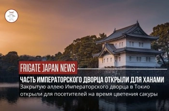 Закрытую аллею Императорского дворца открыли для посетителей на время цветения сакуры