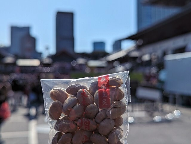 Советы путешественникам: февральские фестивали в Японии 