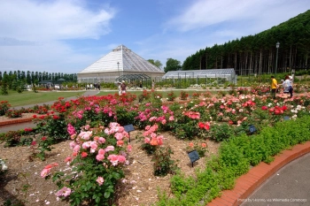 Парк роз Томоноура 