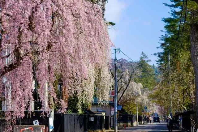 Городок Какунодате Kakunodate Town