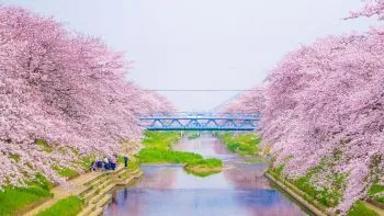 Япония -  страна четырех сезонов