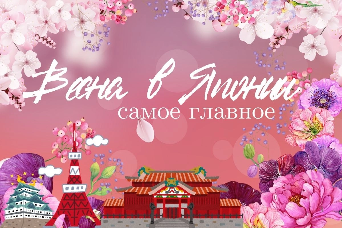 Япония весной: только самое важное для вашего отдыха