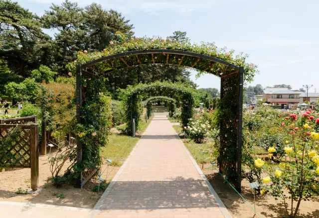 Парк Сикисима  