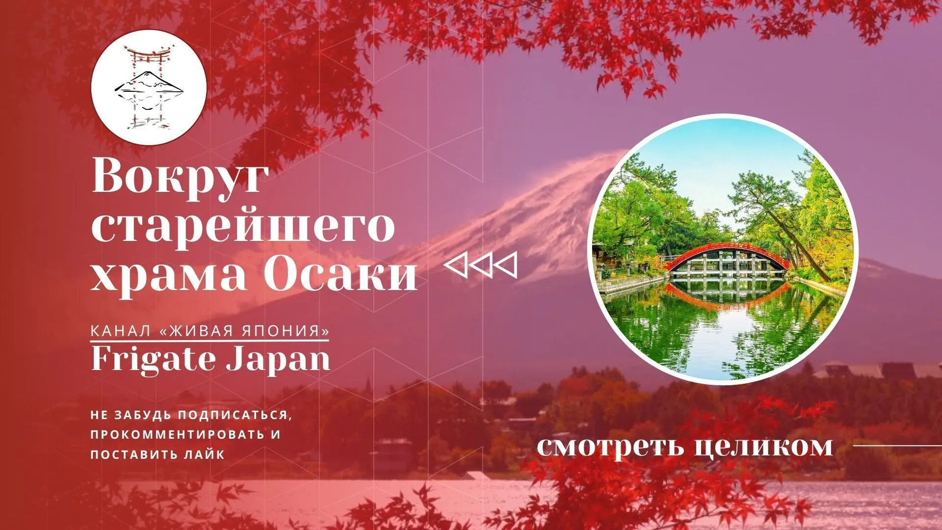 Прогулка по окрестностям старейшего замка в Осака