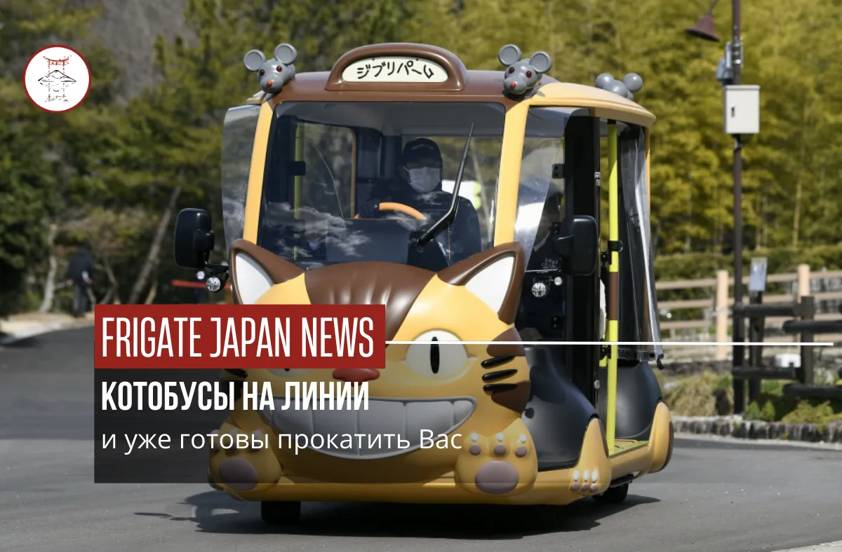 Котобусы ждут своих туристов