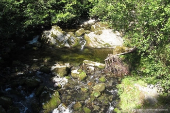 Cима Потхоулз 