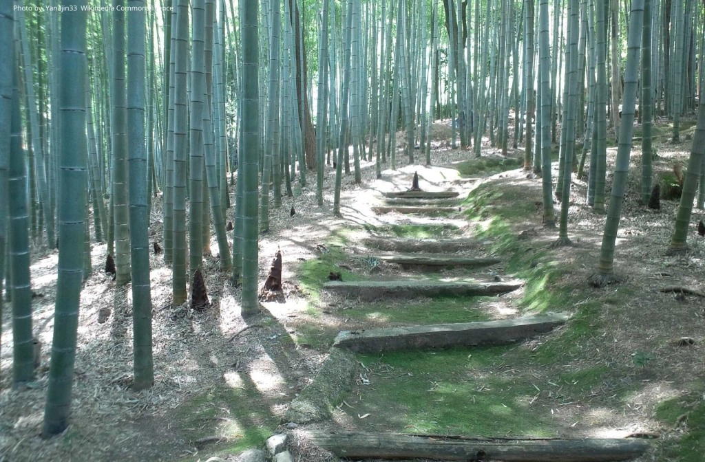 Роща Adashino Nenbutsuji 