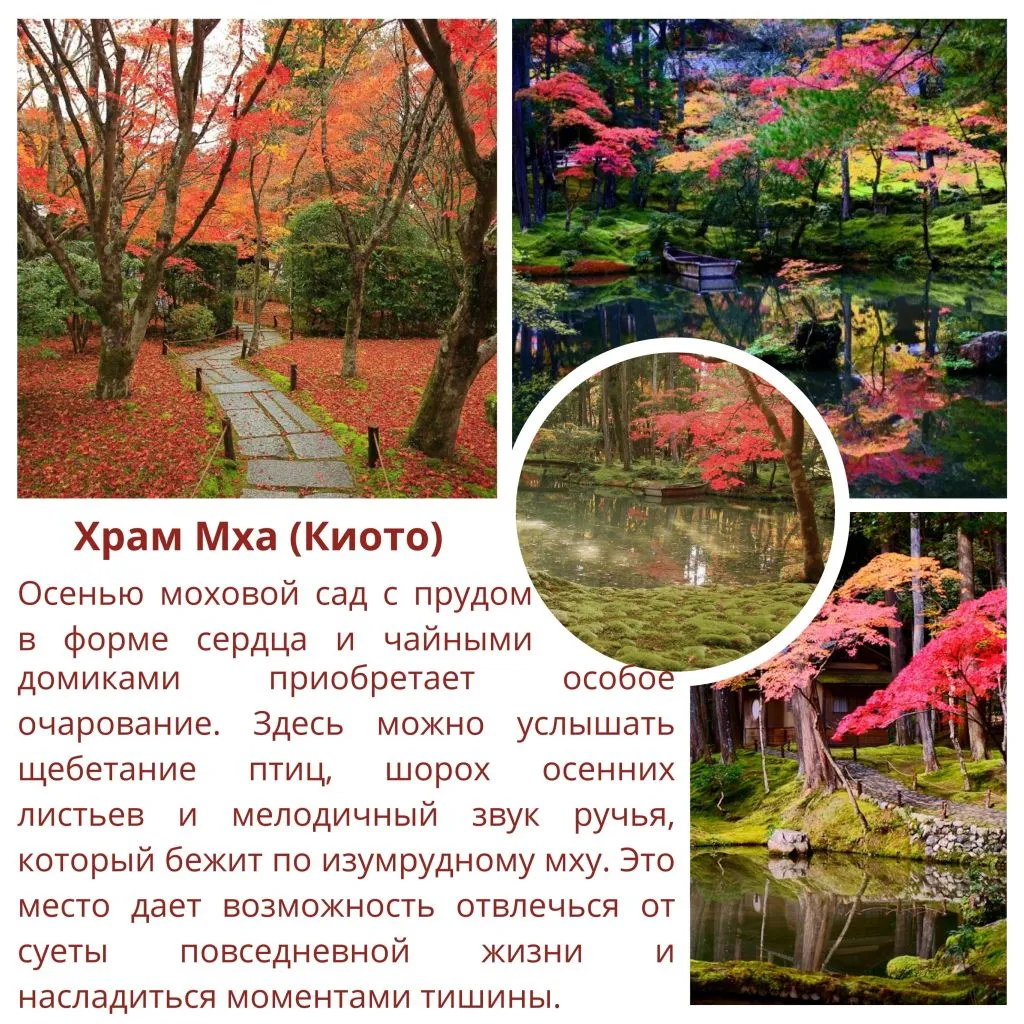 momigarden (2).jpg