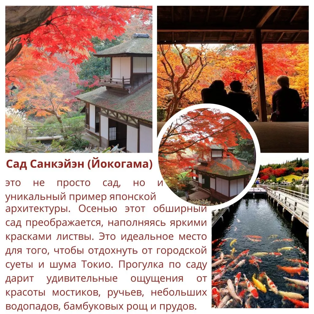 momigarden (5).jpg