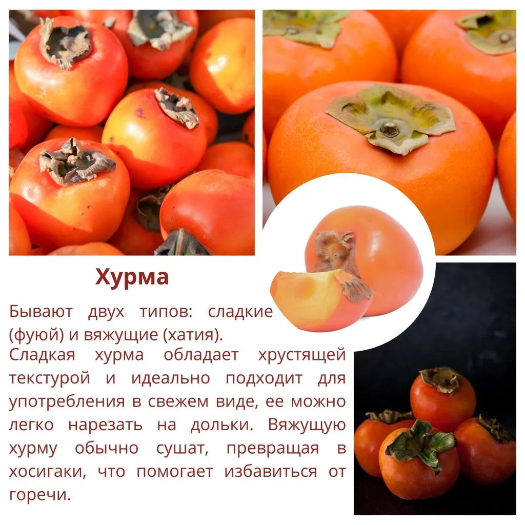 momiji3 (6).jpg