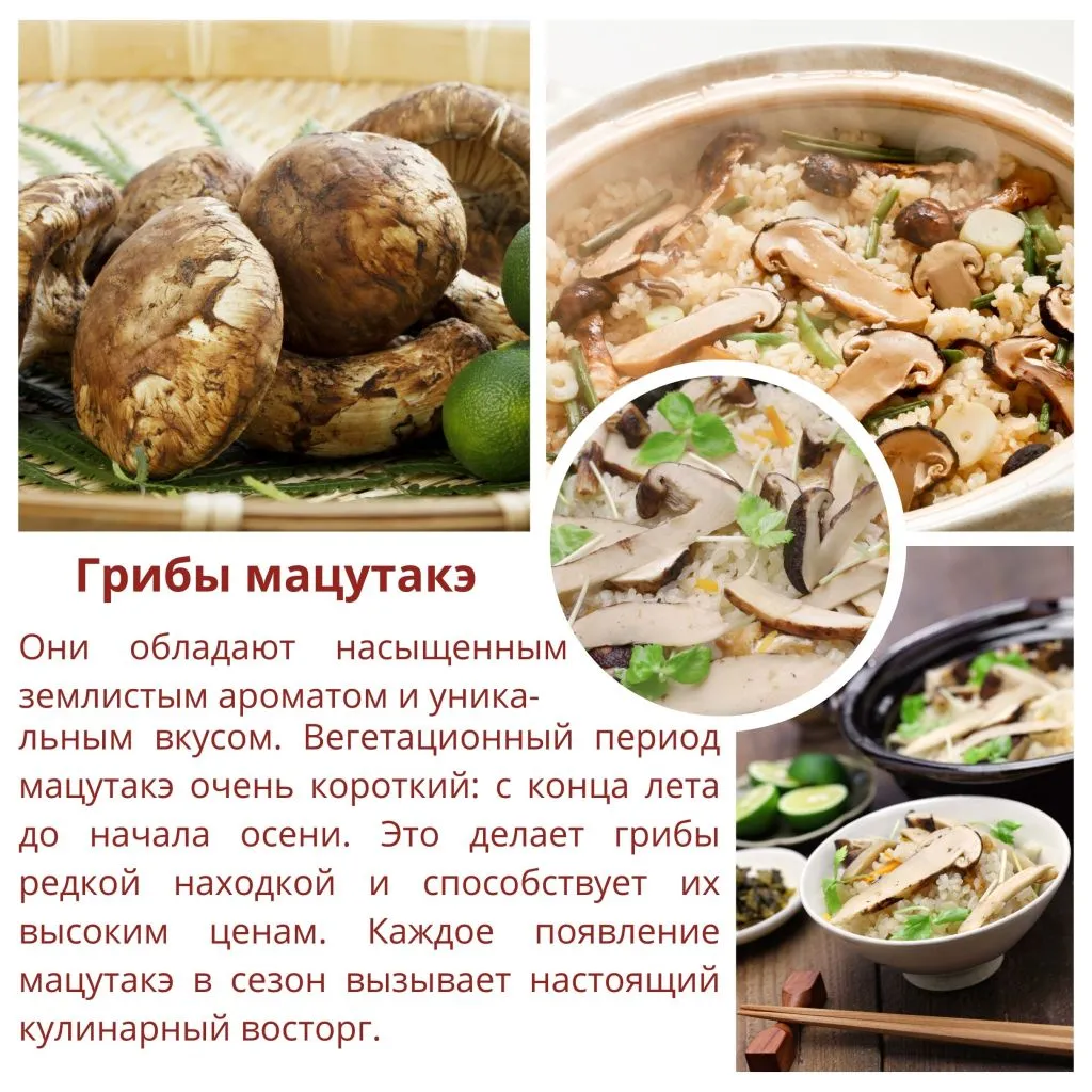momiji3 (4).jpg