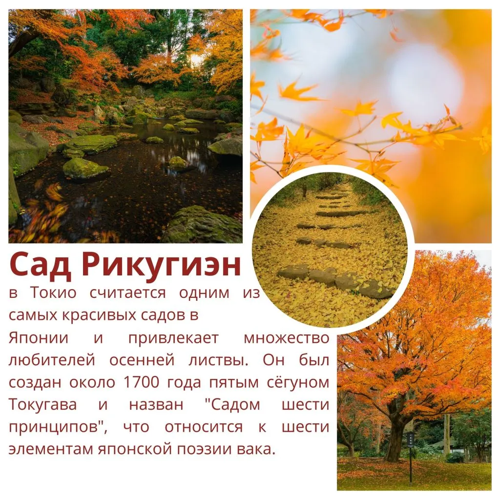 momitok1 (1).jpg