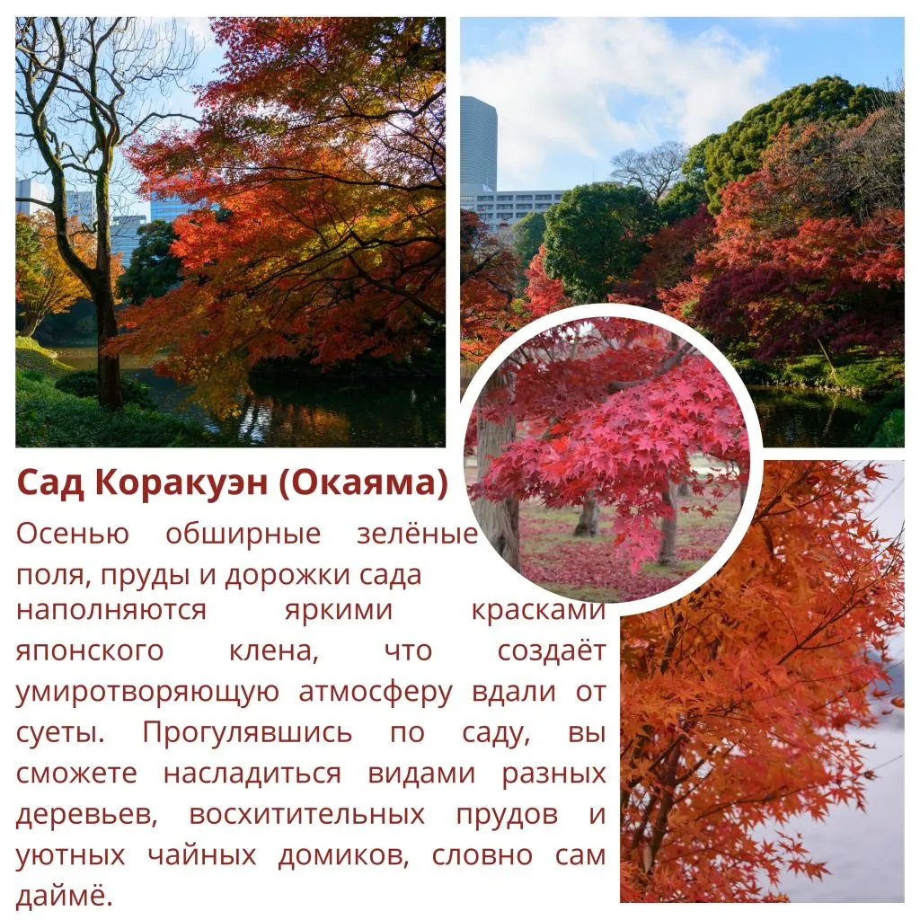 momigarden (1).jpg